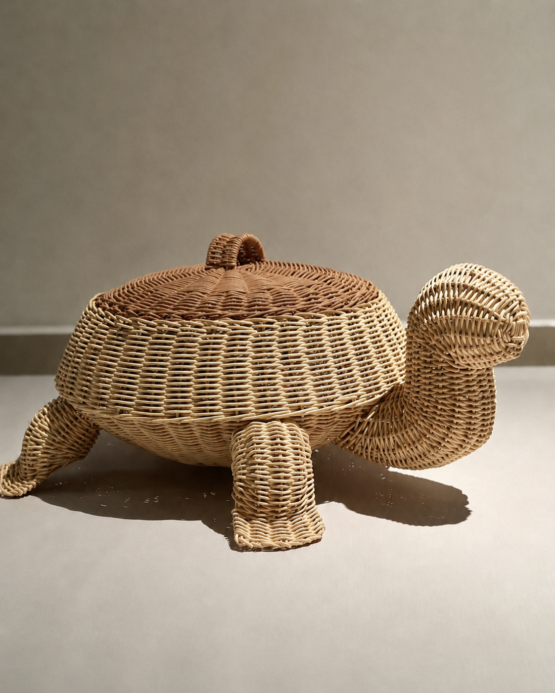 Cesto de Tortuga