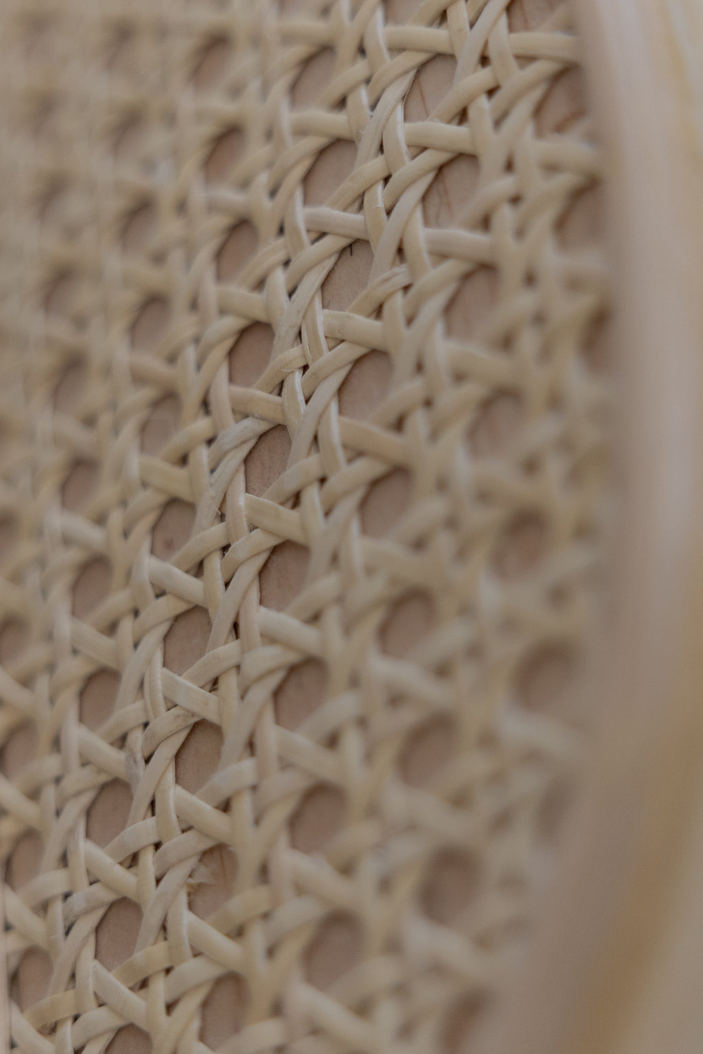 Periquera Rattan