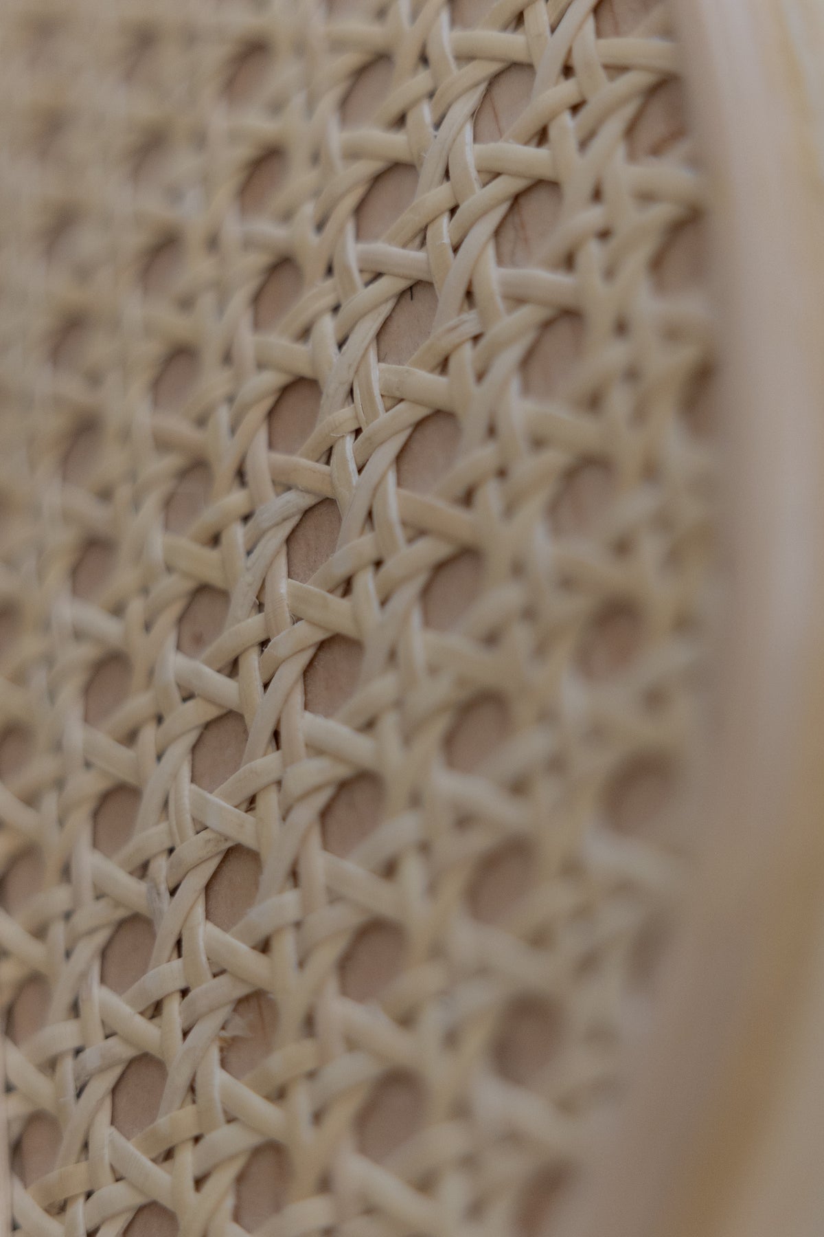 Periquera Rattan